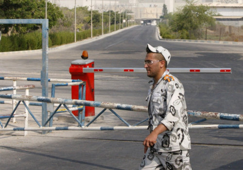 Who Guards Nuclear Power Plants? A Comprehensive Look at Nuclear Security
